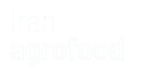 logo removebg preview